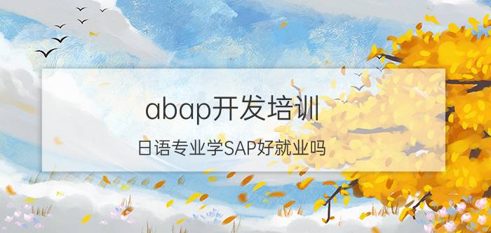 abap开发培训 日语专业学SAP好就业吗？